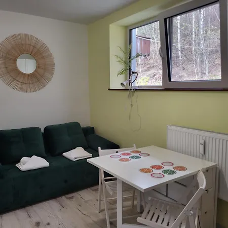 Apartment Wczasowa 90 Ustron