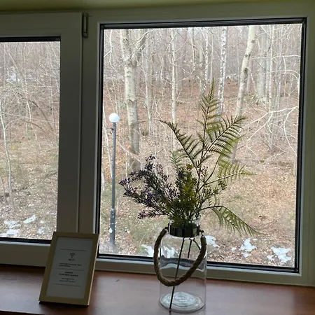 Gaj Wczasowa 90 Lejlighed